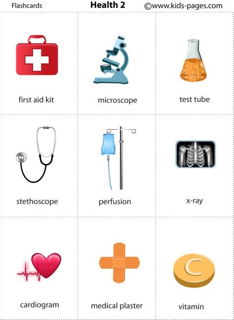 this principle aids for safe and effective results|WEEK 2 (PE & health) Flashcards .